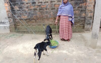 Empowered Women Raise Income