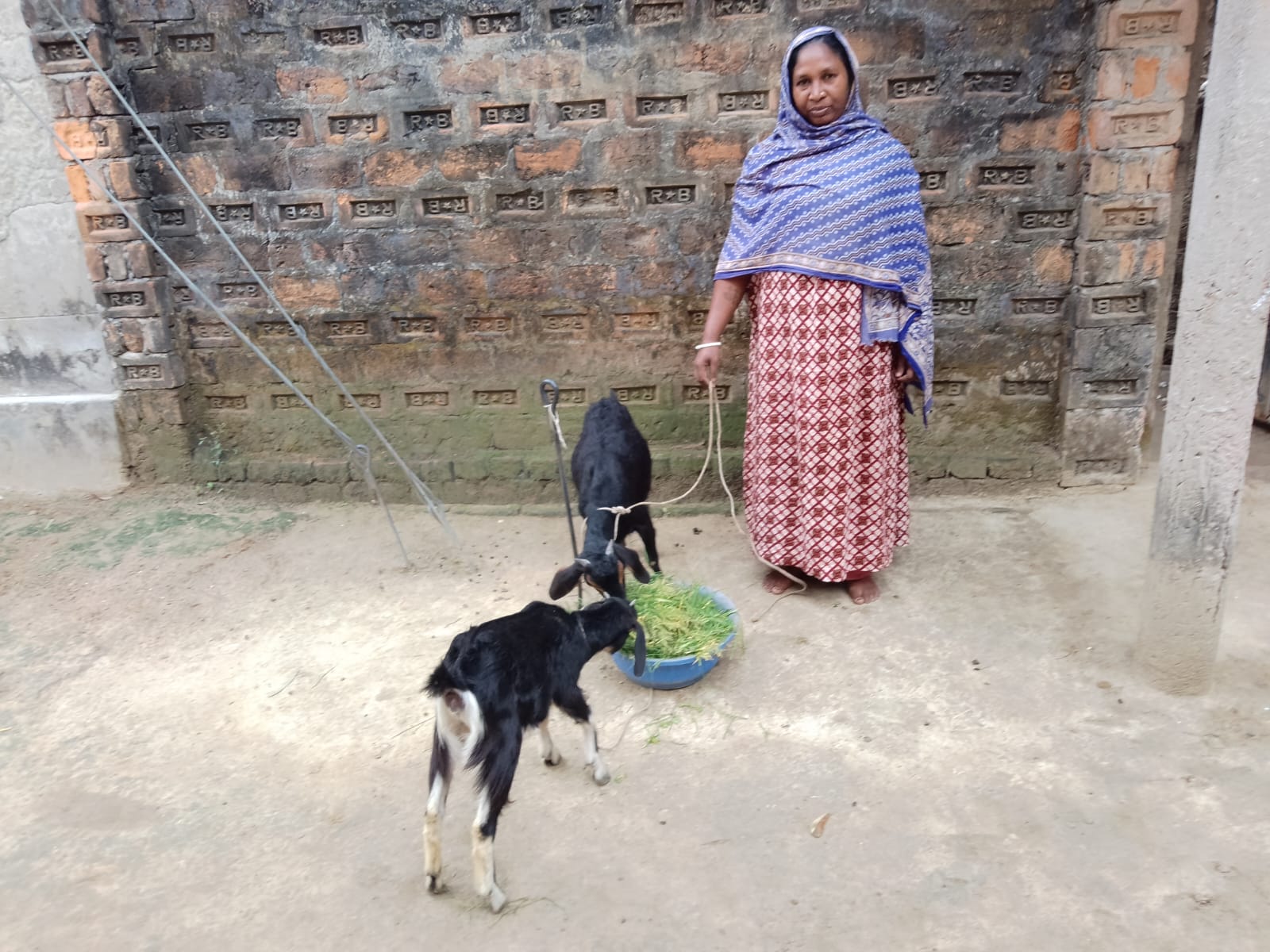 Raising animals and planting vegetable gardens help overcome poverty.