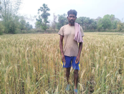 Willing to Wheat!