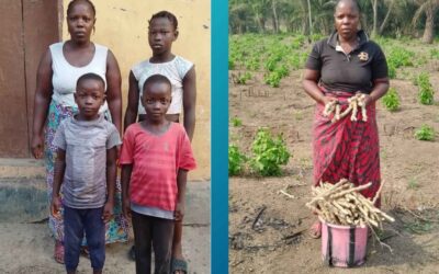 From Struggling to Supported