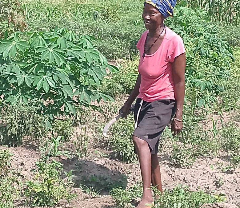 Growing Crops for Growing Children