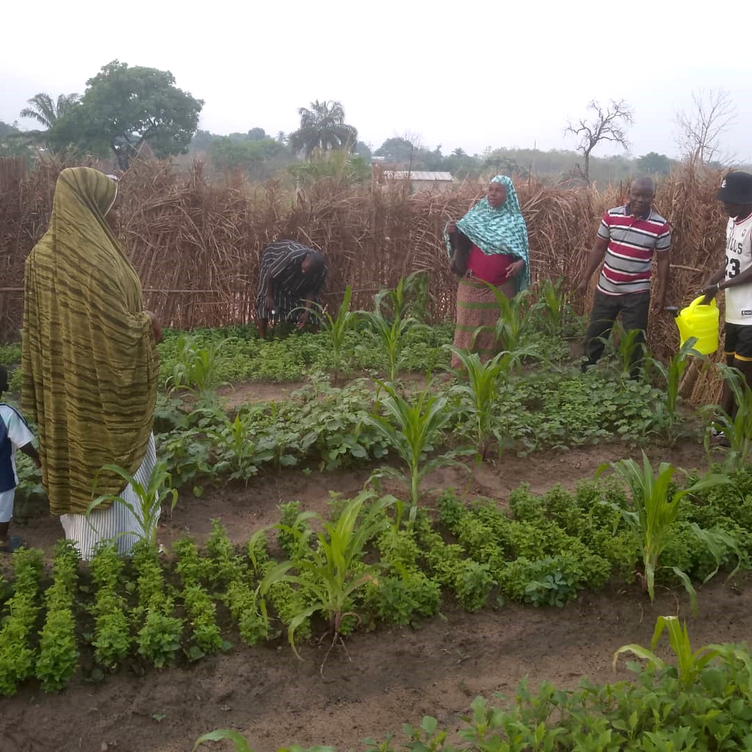 Gathering knowledge from the locals, Yelivo’s community plans for a new garden.