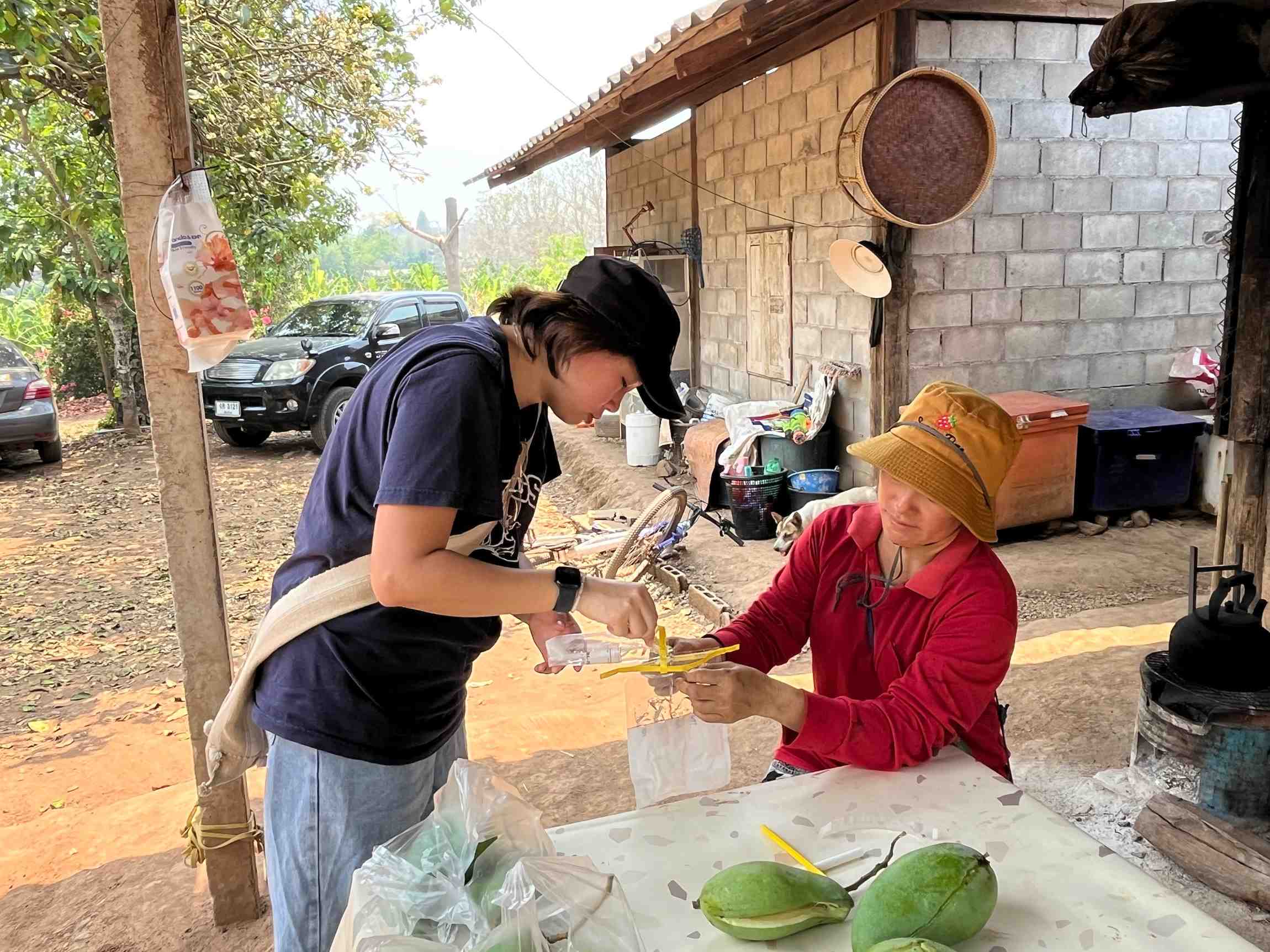 Embracing change improves the health and well-being of the village.