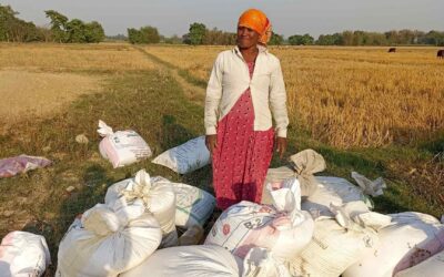 Seed Money Helps a Single Mother