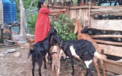 Transformed from Hopeless to Hopeful