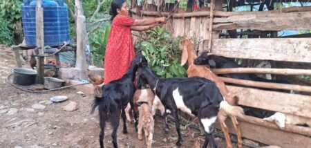 Transformed from Hopeless to Hopeful