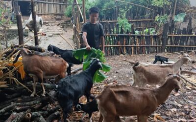 A Father’s Dream to Send His Children to School Fulfilled