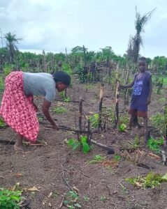 From Struggling to Supported